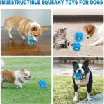 2ba478f05e94a7a77d1f6f0215562c84