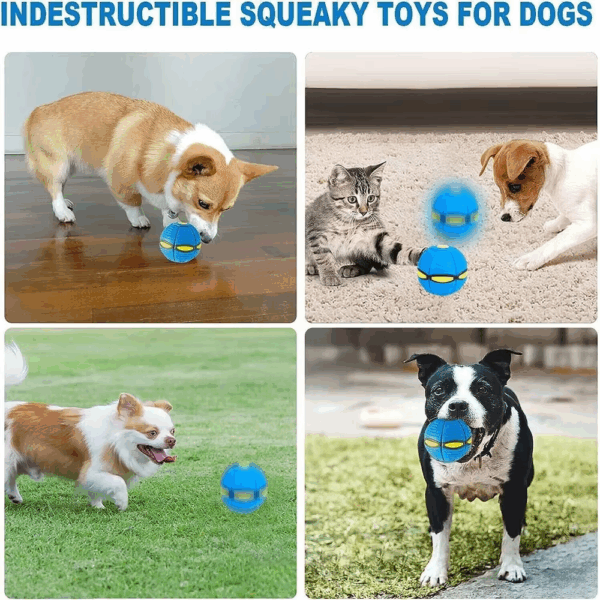 2ba478f05e94a7a77d1f6f0215562c84