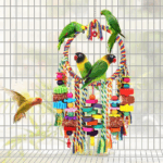 Bird Toys Bird Rope Ring Swing Perch with Corn Cob Cardboard Bagels Wooden Blocks Chewing Toys for Parakeets,Conure,Lovebirds,Finches and Other Small to Medium-Sized Birds 3 4f3745956643fc218f38d457bd32032c 1