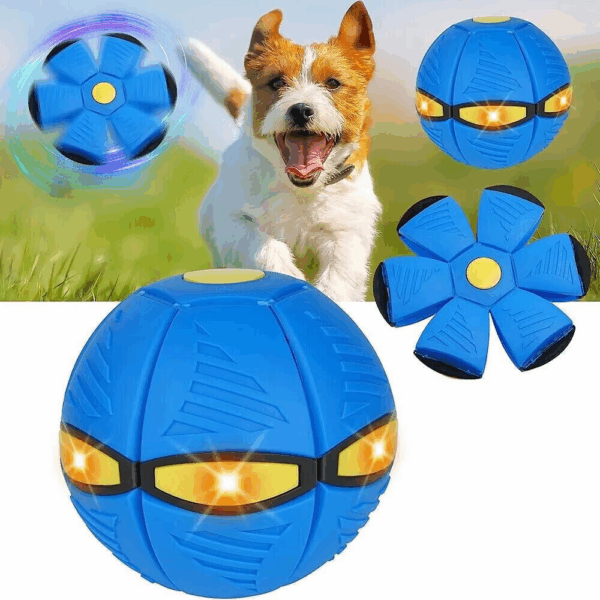 5c5040174d04e5a675bddbd913b71ef0