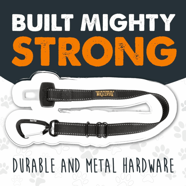 a507c3fc249e4d9074c80d75230ffe06