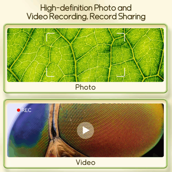 ba70d59da0a907815a6b14dc10a177a4.png ba70d59da0a907815a6b14dc10a177a4