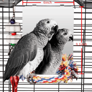 Home Imagine 46 cef44ca55b246fb5ae5ada1f15f3a6e0