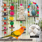 Bird Perch & Toys - 6 Pack Accessories, Wooden Chew Toys & Perch Stand for Parakeet, Conure, Cockatiel, Lovebird, Parrotlet, Budgie, Finches & Other Small to Medium Sized Birds 4 f144a5a6ca4a1c0a128ff75d2636396d